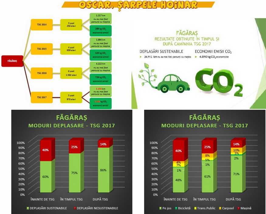 TRAFFIC SNAKE GAME NETWORK - Raportul campaniei “OSCAR, ȘARPELE HOINAR” în Municipiul Făgăraș